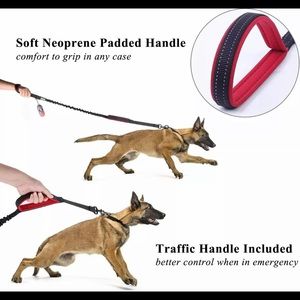 Vivaglory Dog Leash Shock Absorbent Two Paddle